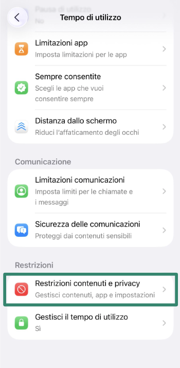 Content & Privacy Restrictions screen on iPhone.
