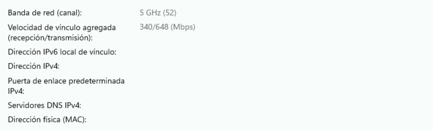 Part Of The Network Properties Page Showing The Router As The Primary Dns Server Es