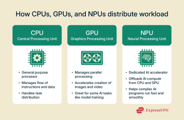 Infographic highlighting the different workloads that the CPU, GPU, and NPU handle.