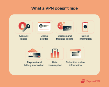 An infographic showing the main things a VPN won't hide when you're online.