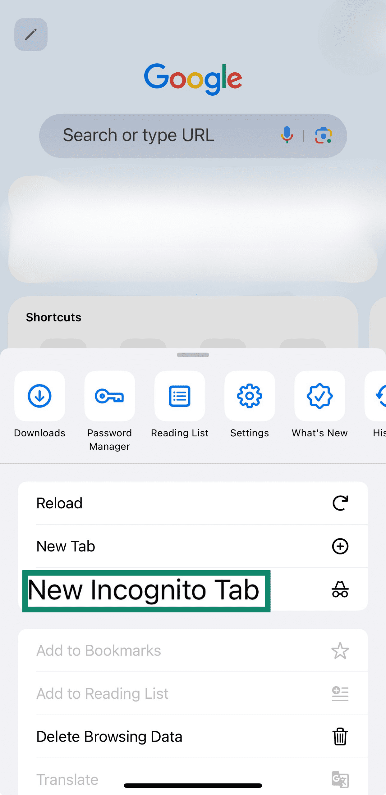 The New Incognito Tab of iOS Google Chrome.