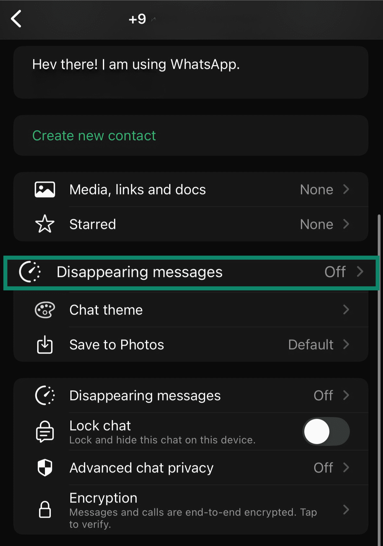 WhatsApp individual chat settings menu with Disappearing messages highlighted.
