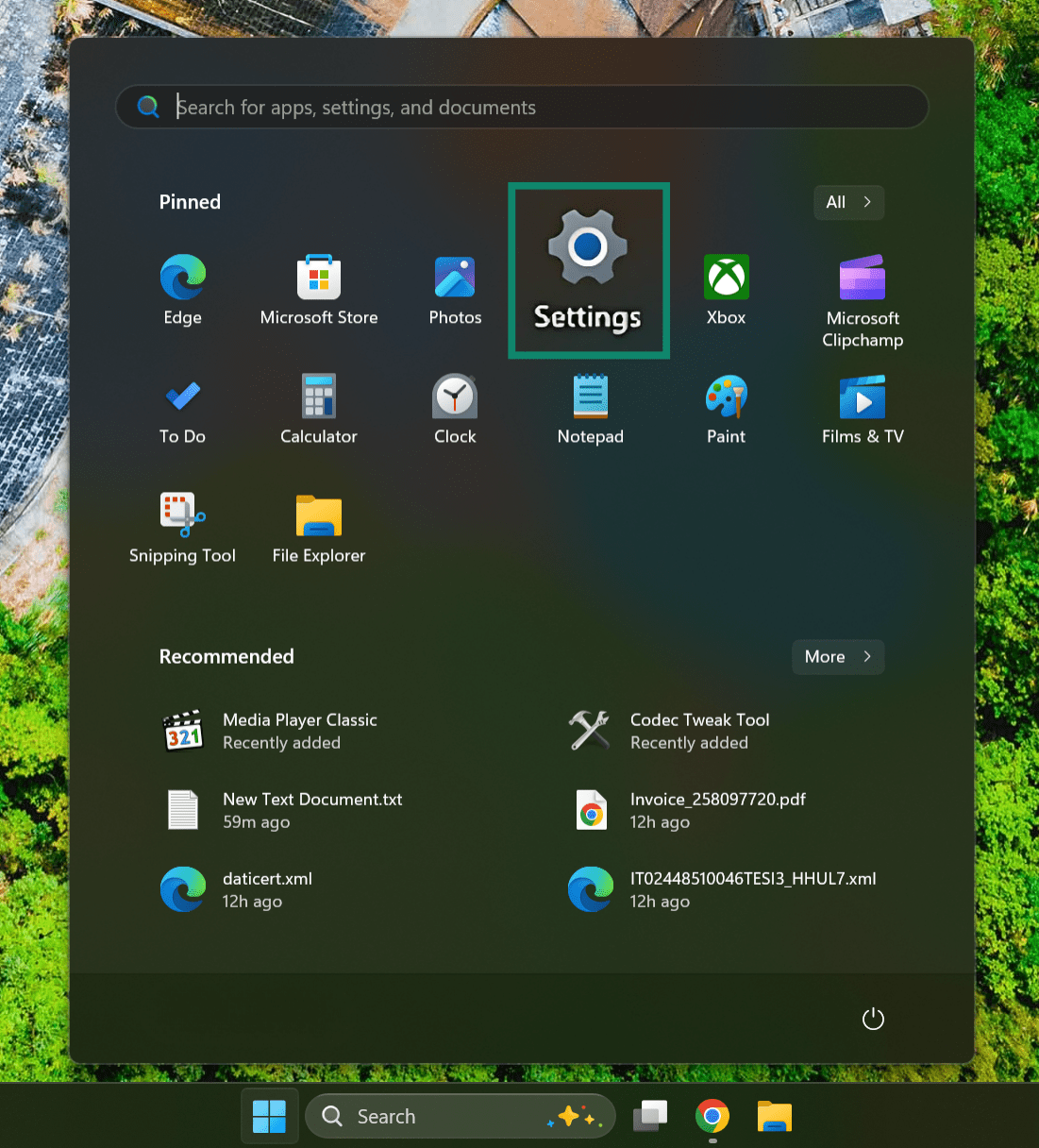 Windows 11 highlighting the Settings app.