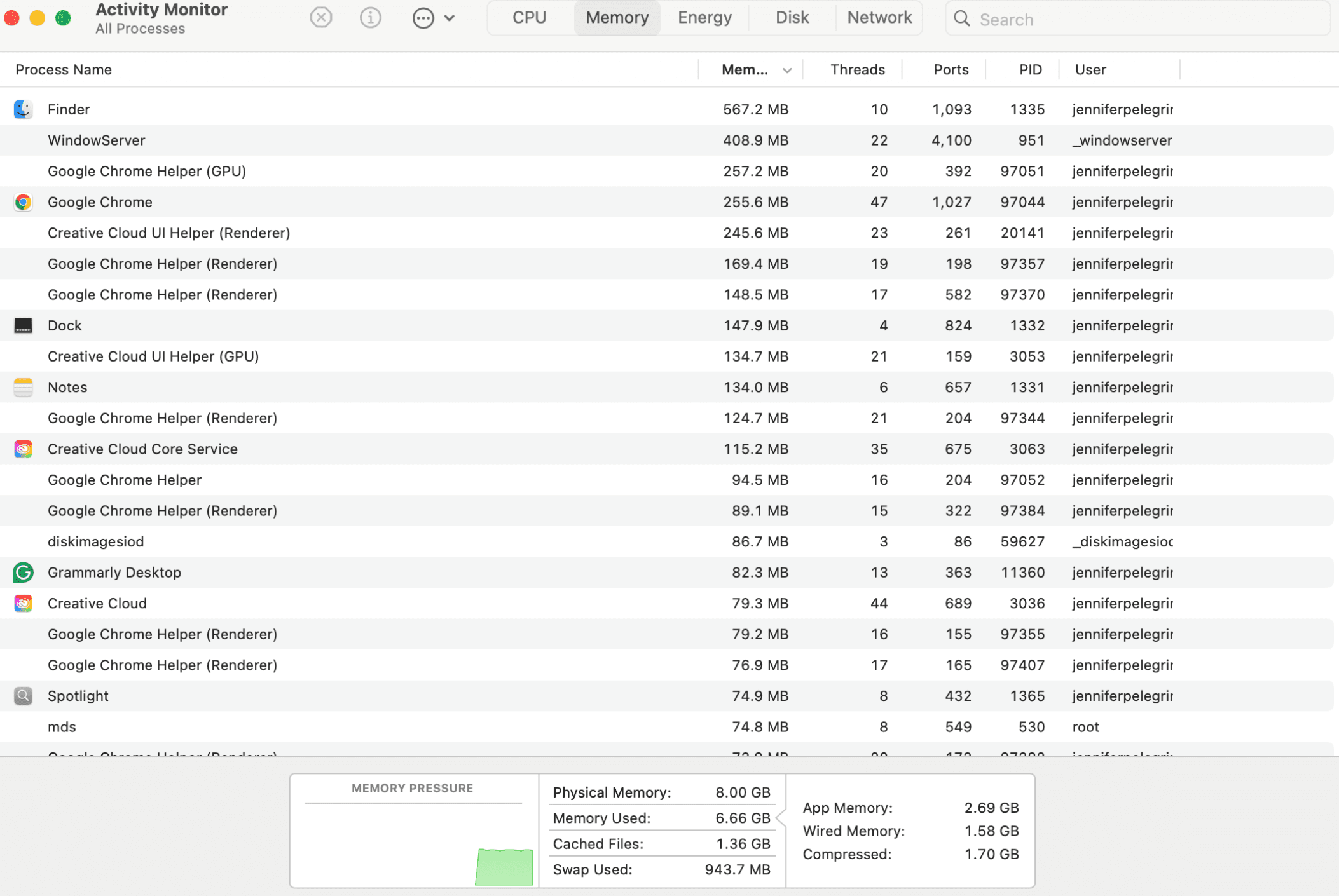 Activity Monitor with Chrome memory usage on macOS
