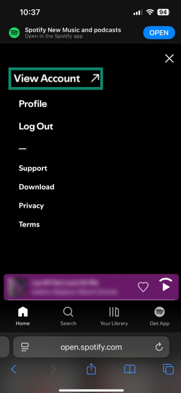 View account button on Spotify's settings page