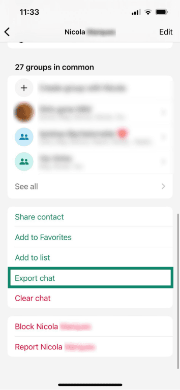 The Export chat option in in WhatsApp individual chat menu.
