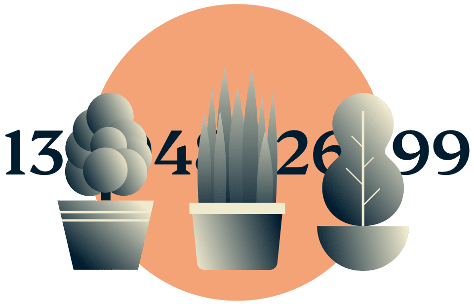 Vermom je IP-adres: potplanten die een IP-adres verbergen.