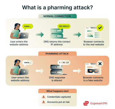 Browser entering a website address, receiving altered DNS information, and loading a fake website instead of the real one