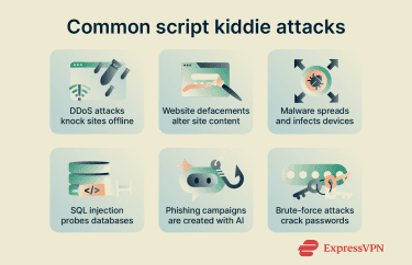 Infographic illustrating 6 common types of cyberattacks script kiddies might be able to carry out