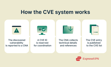 How the CVE system works