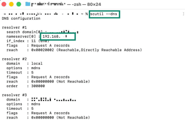Terminal app on macOS, showing the output for the command "scutil --dns" and the IP address for the server.