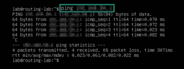 How to test connectivity using ping.