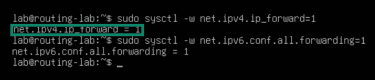 Command to enable IP forwarding temporarily for Linux.