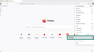 Firefox on Windows with dropdown menu open and Settings highlighted